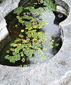濟源網(wǎng)