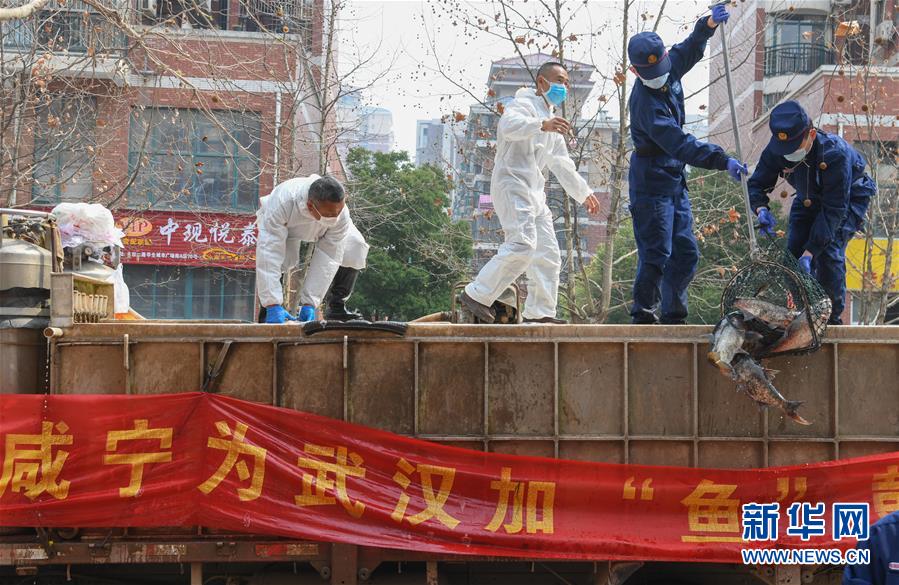 （新華全媒頭條·圖文互動）（12）從人民中汲取磅礴力量——習(xí)近平總書記同出席2020年全國兩會人大代表、政協(xié)委員共商國是紀(jì)實(shí)