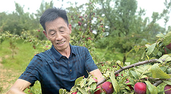 濟源網(wǎng)