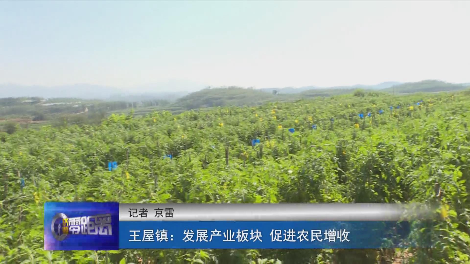 濟源網(wǎng)