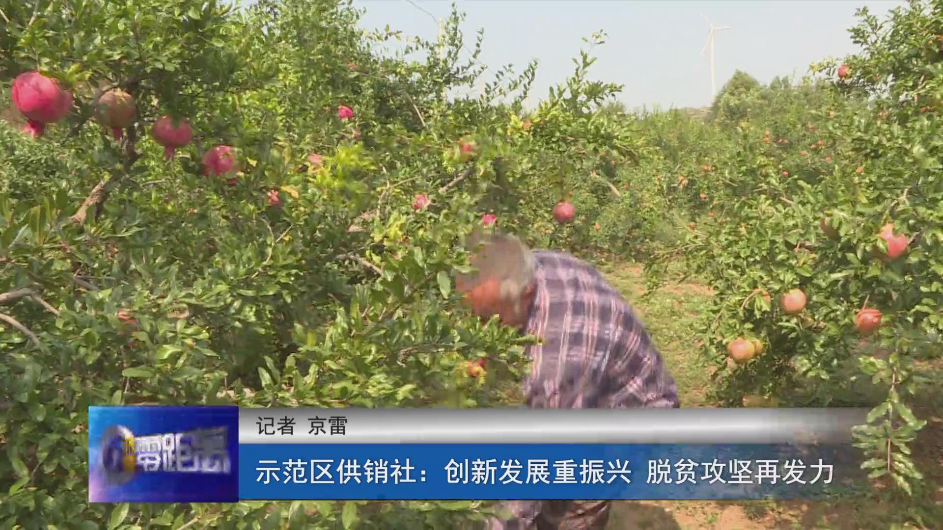 濟源網