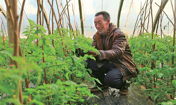濟源網(wǎng)