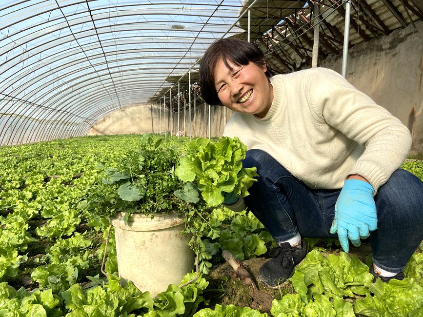 開封市順河回族區(qū)農(nóng)民春耕忙，喜笑顏。 開封市網(wǎng)信辦提供