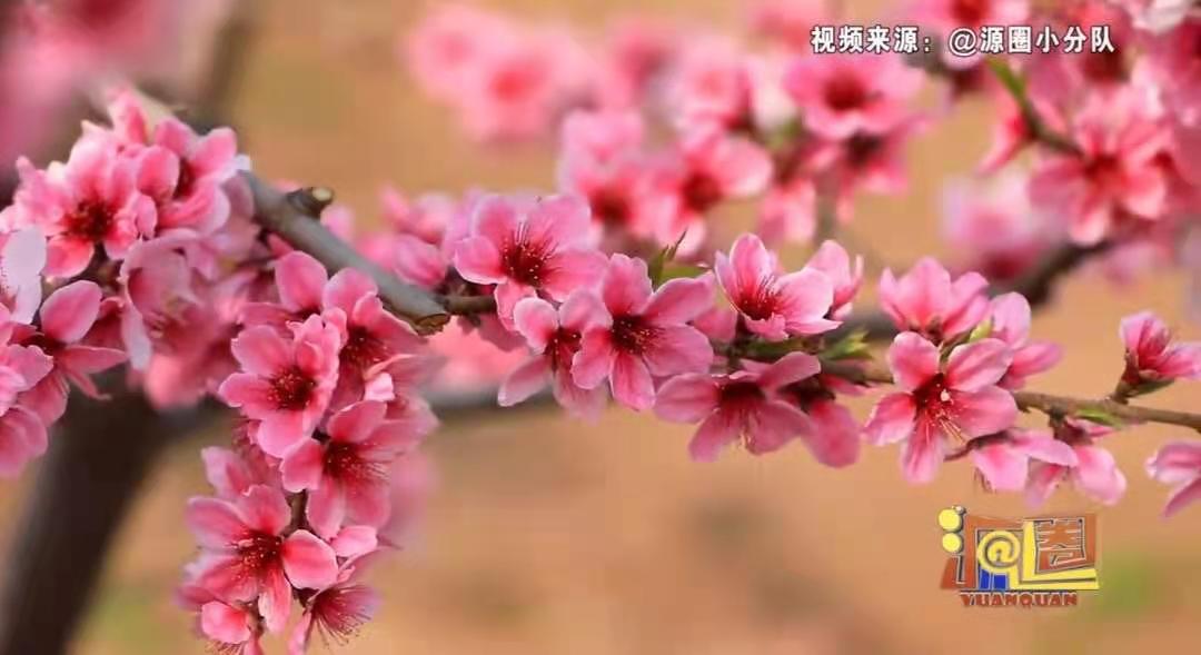 濟源網(wǎng)