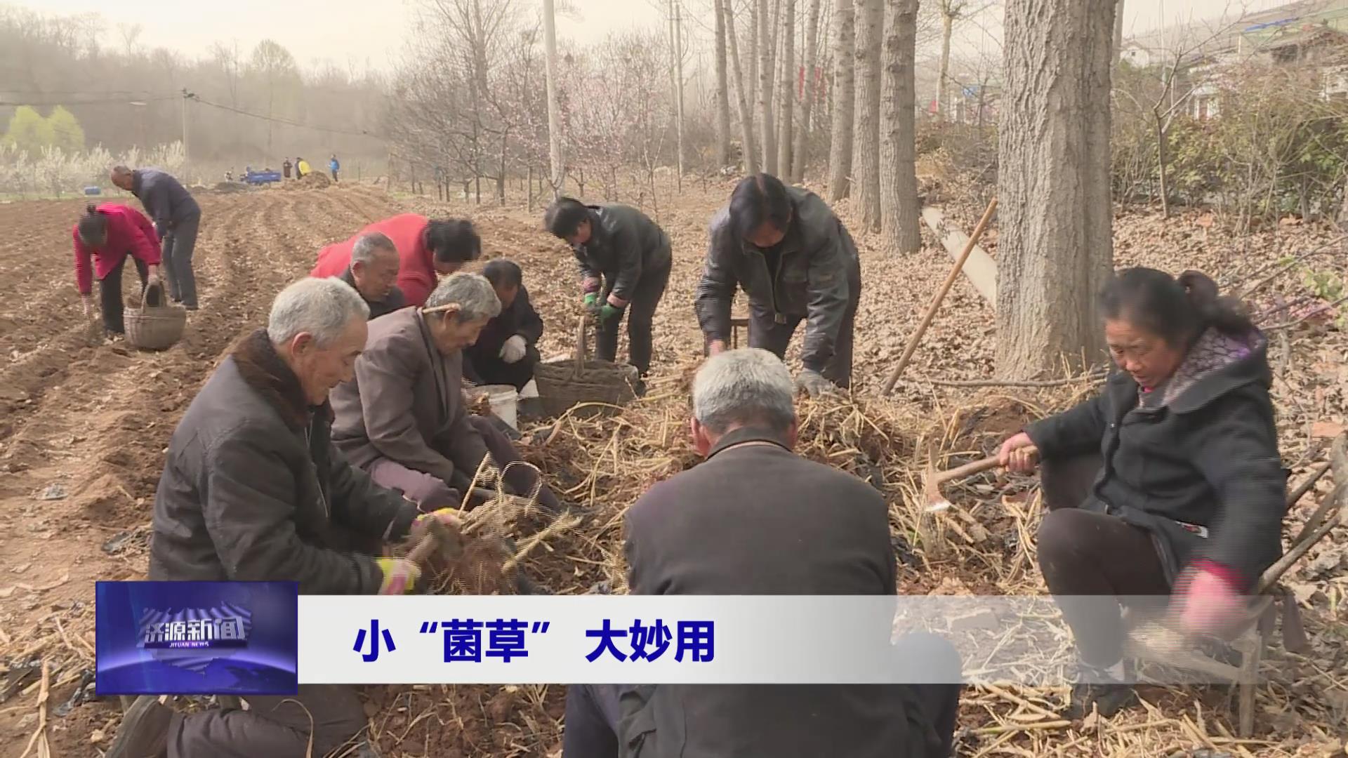 濟源網