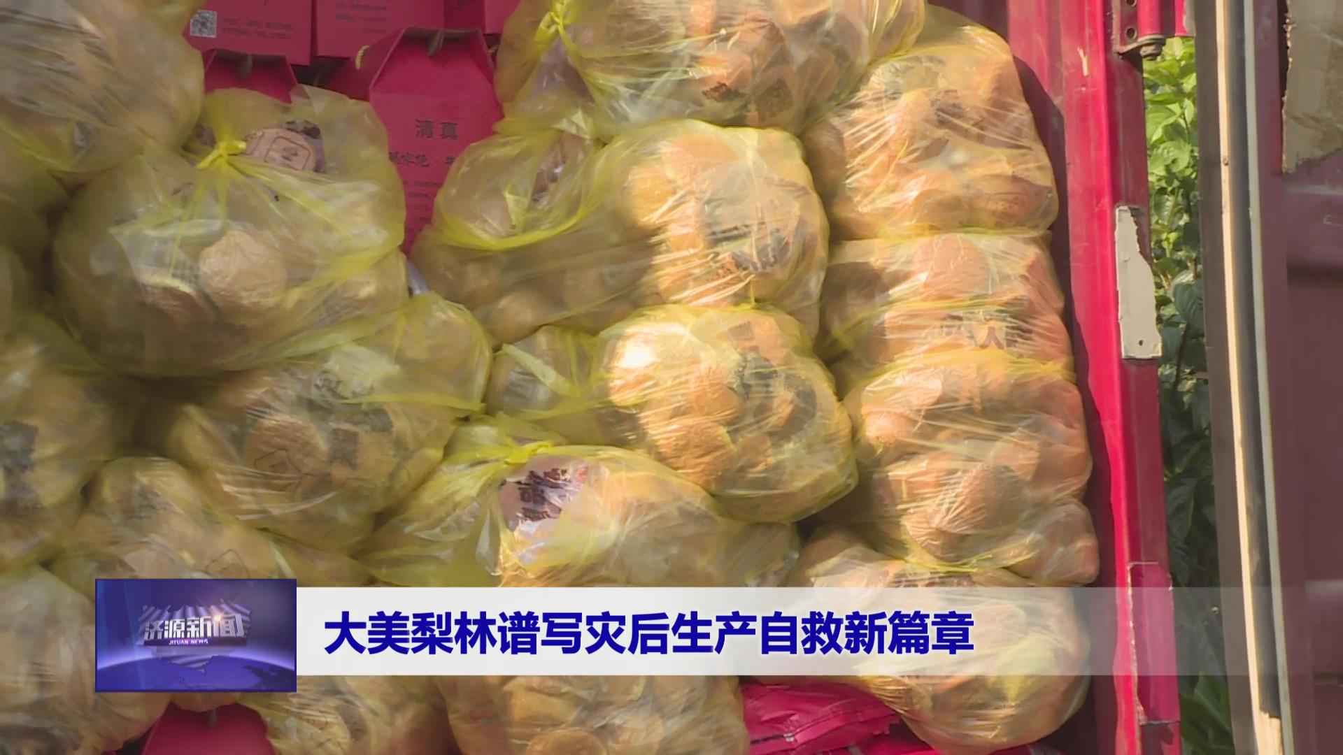 濟源網