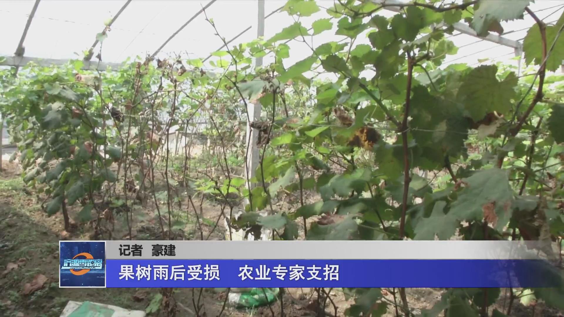 濟源網