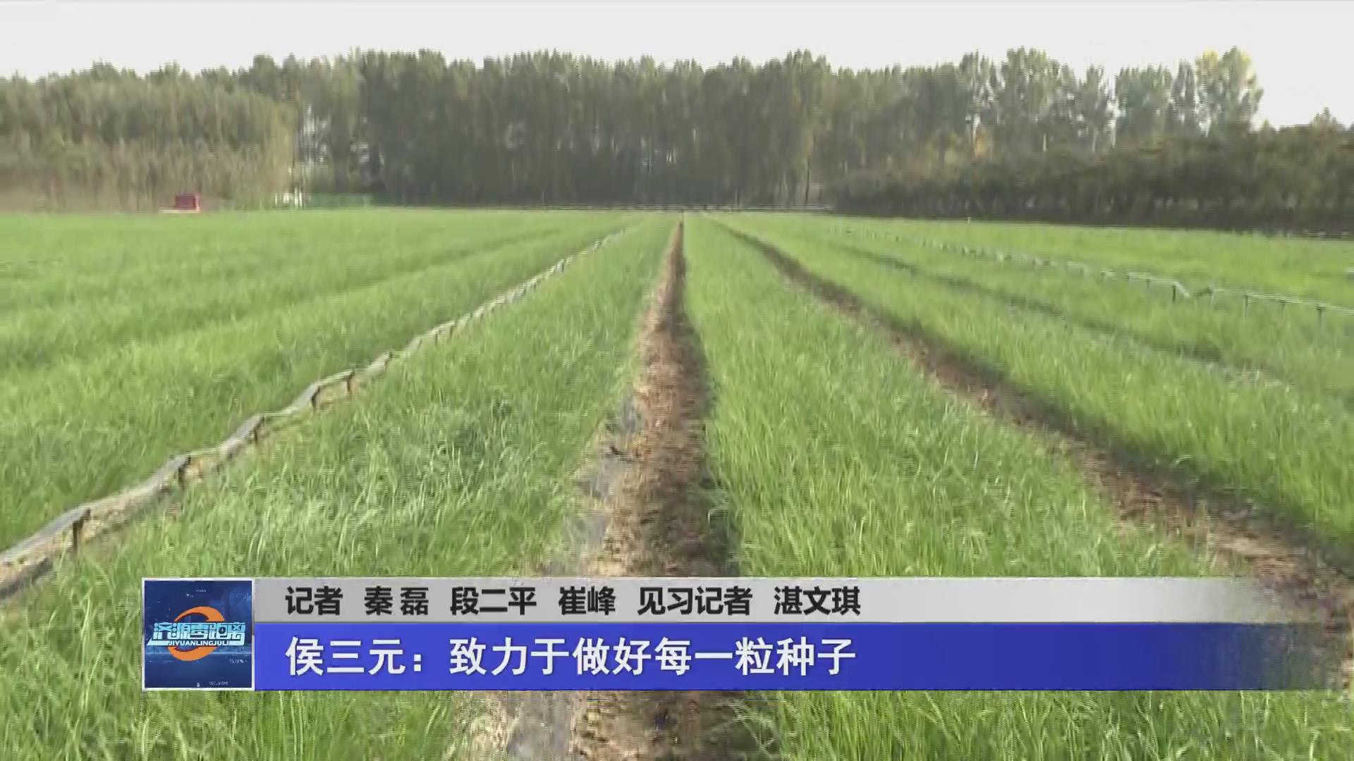 濟源網