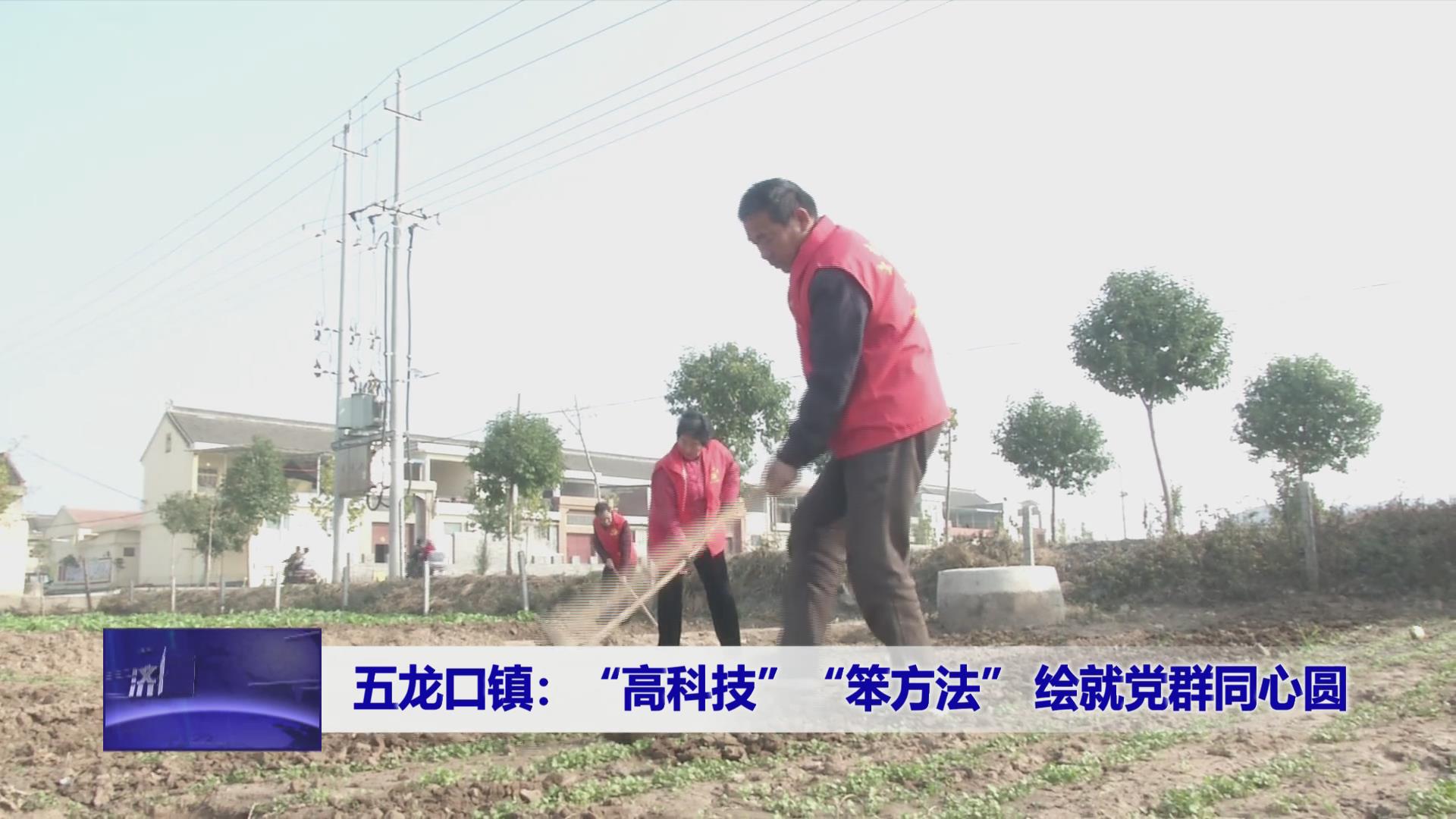 濟源網(wǎng)