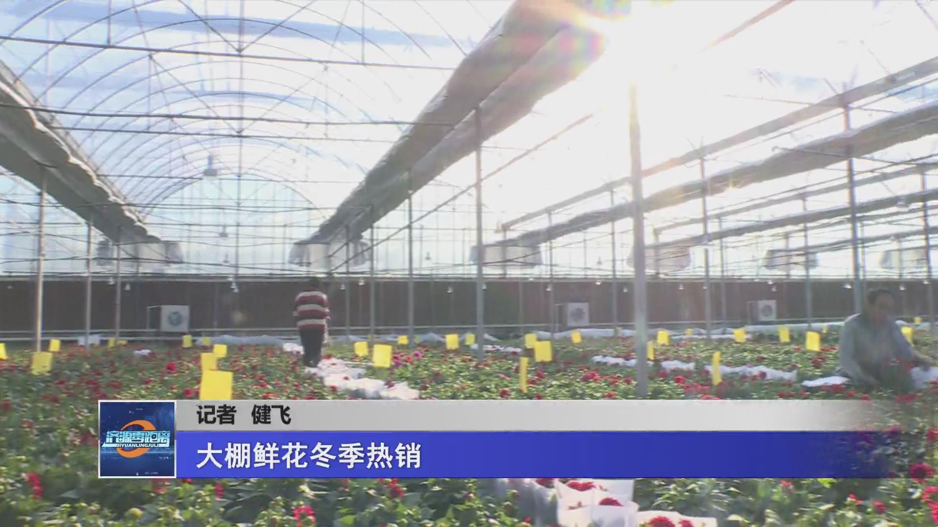 濟源網
