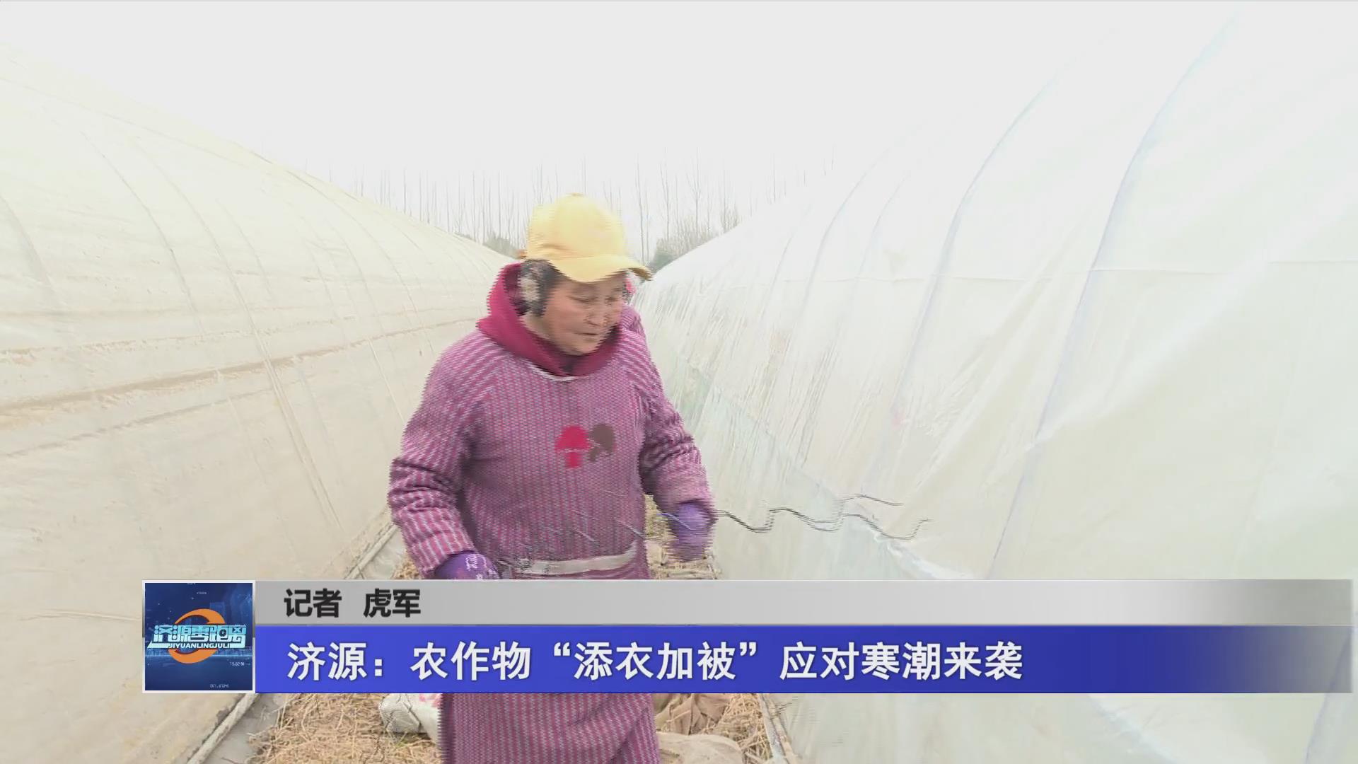 濟源網