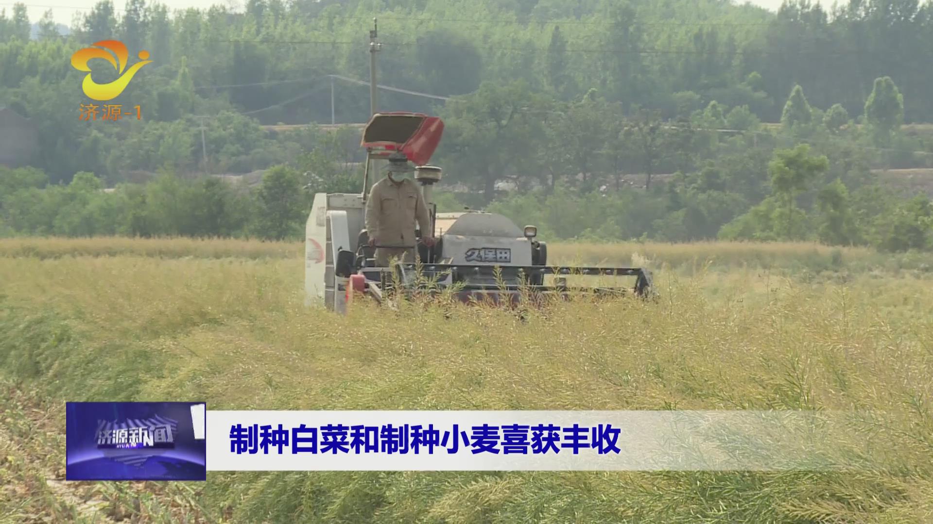 濟源網