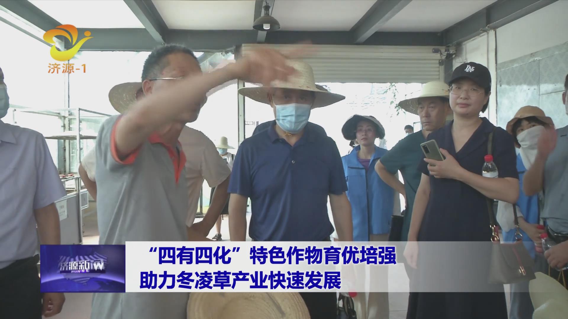 濟源網