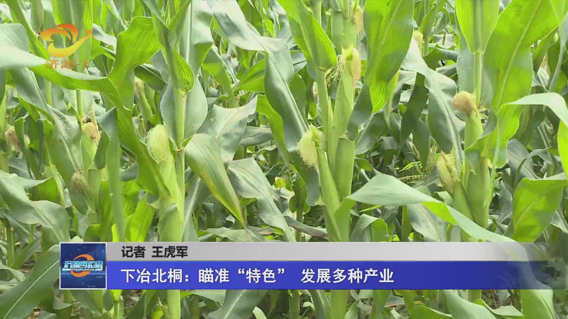 濟源網(wǎng)