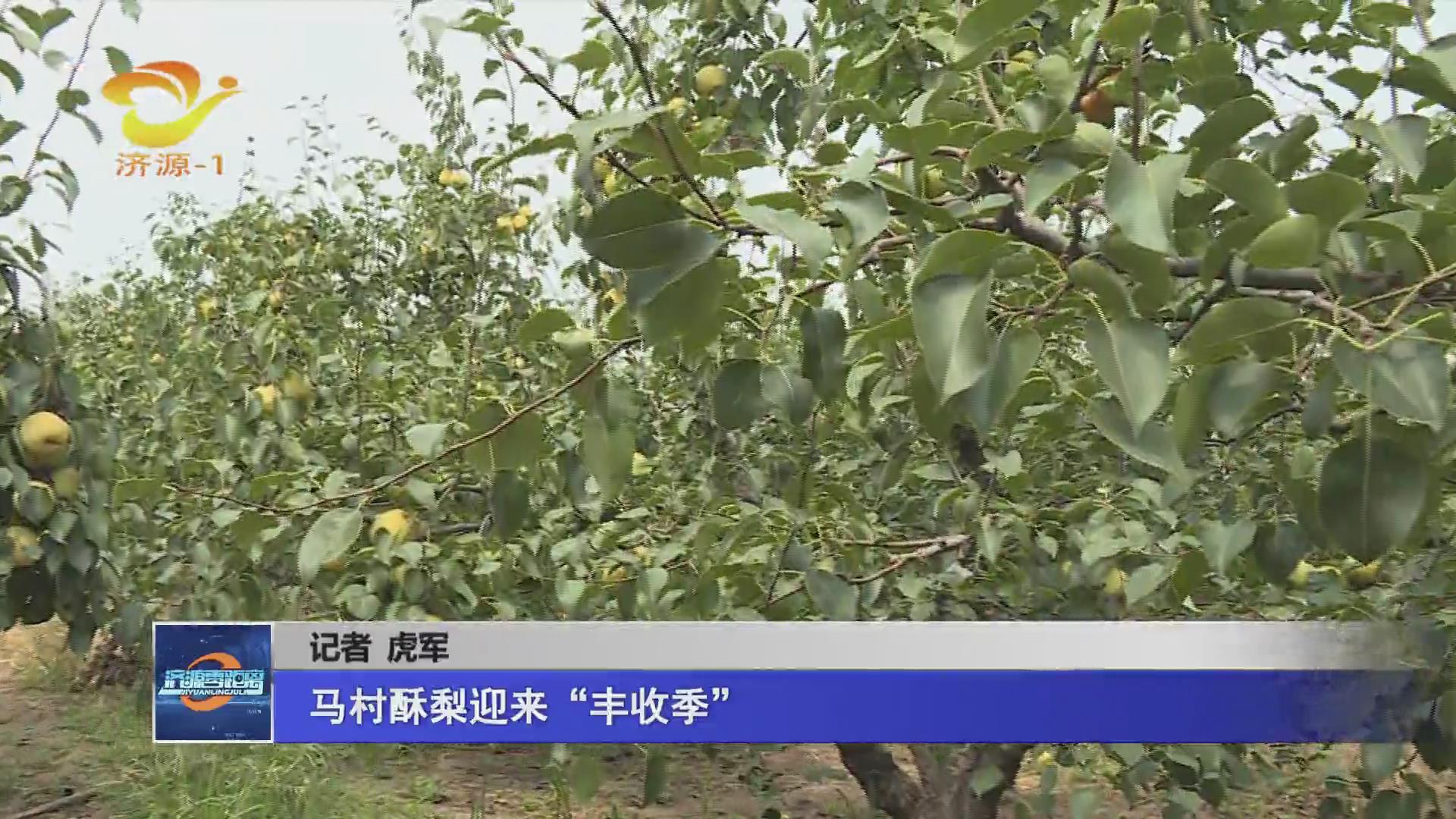 濟源網(wǎng)