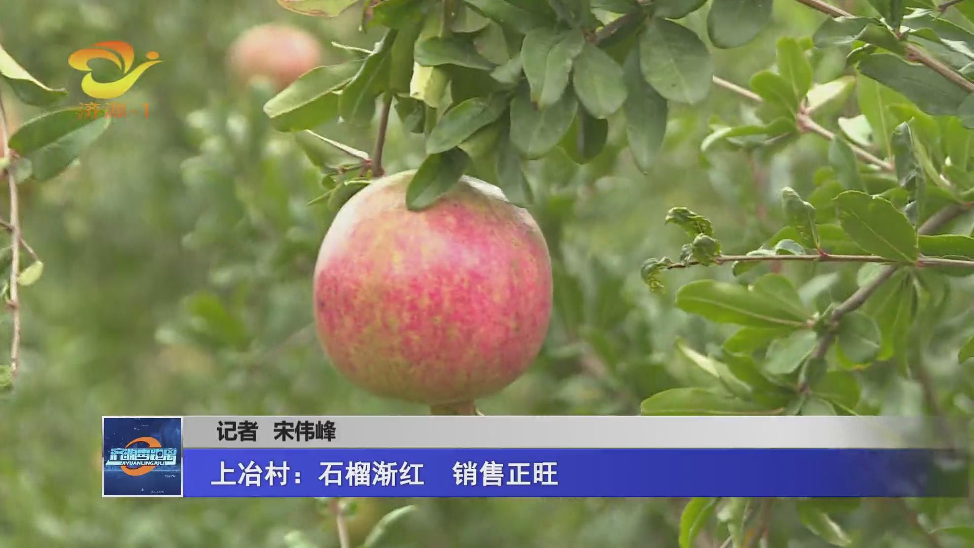 濟(jì)源網(wǎng)