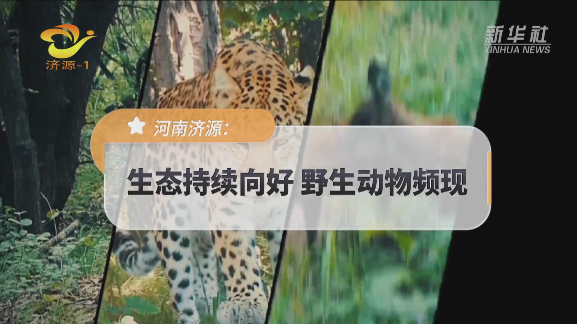 濟源網(wǎng)