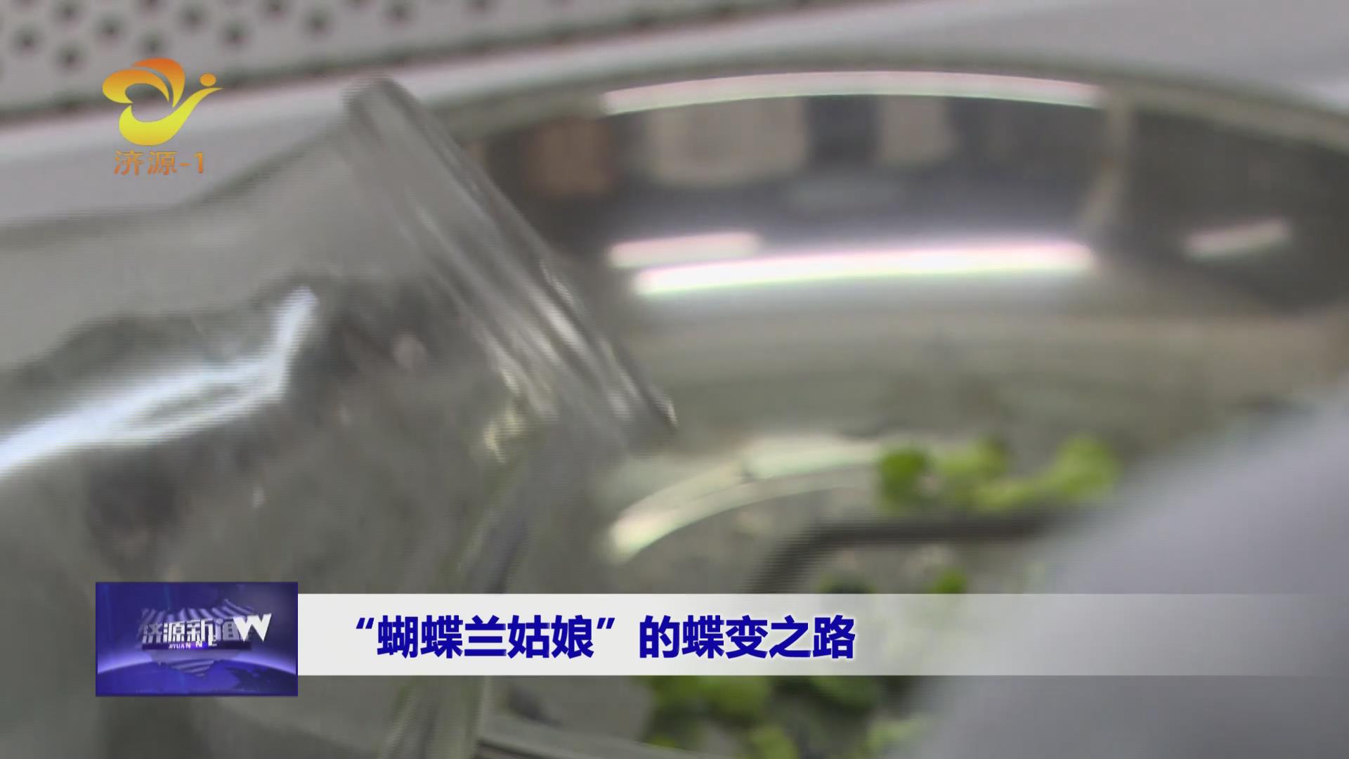 濟源網(wǎng)