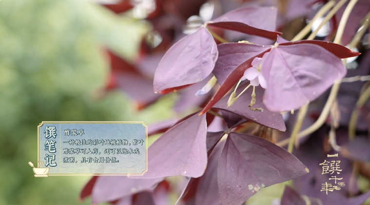 《一饌千年》走進河南開封，看豫菜何以影響中國2000余年