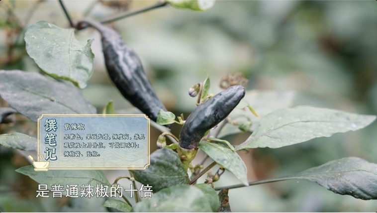 《一饌千年》走進河南開封，看豫菜何以影響中國2000余年