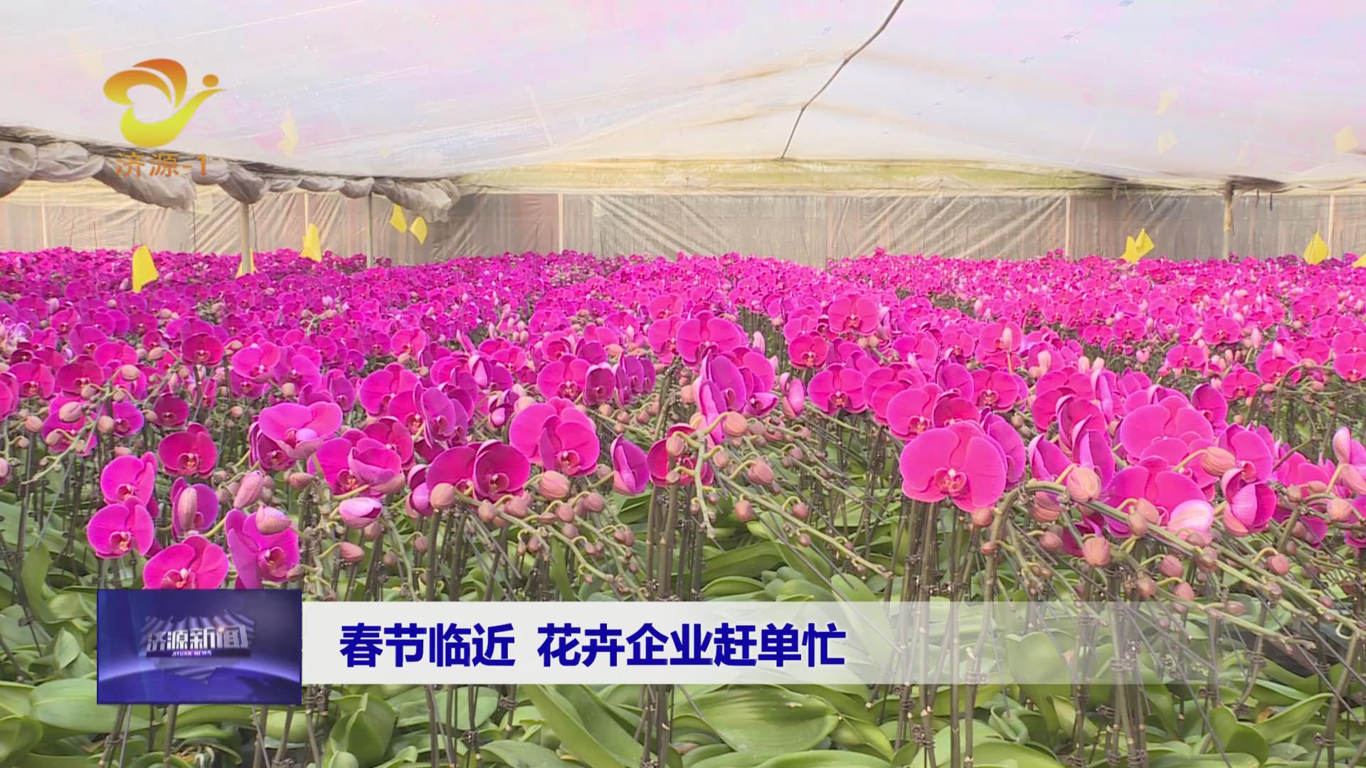 濟源網(wǎng)