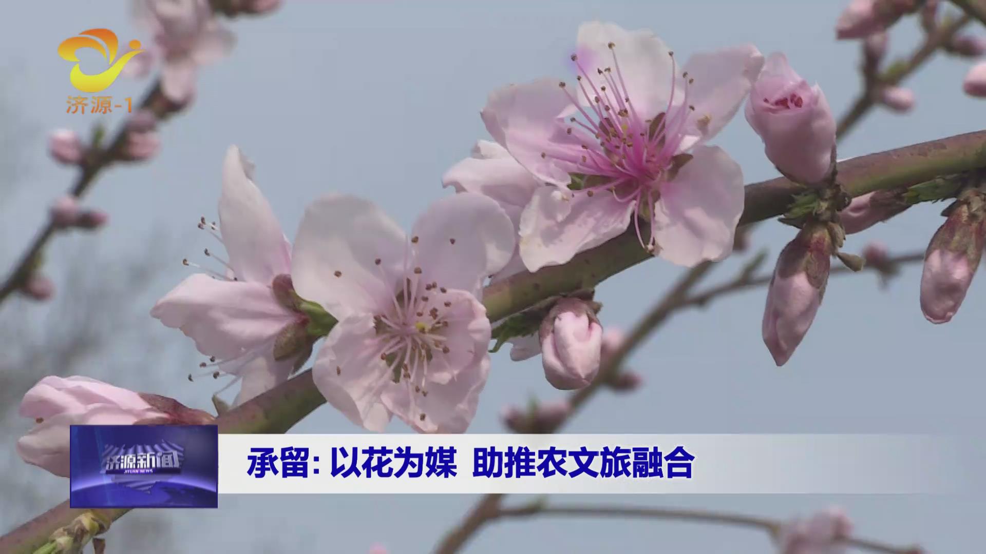 濟源網(wǎng)