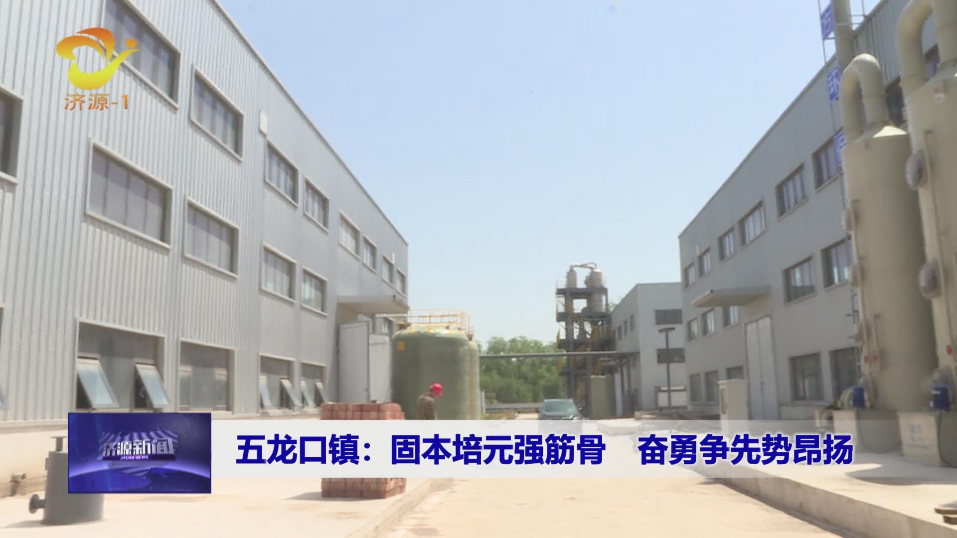 濟源網