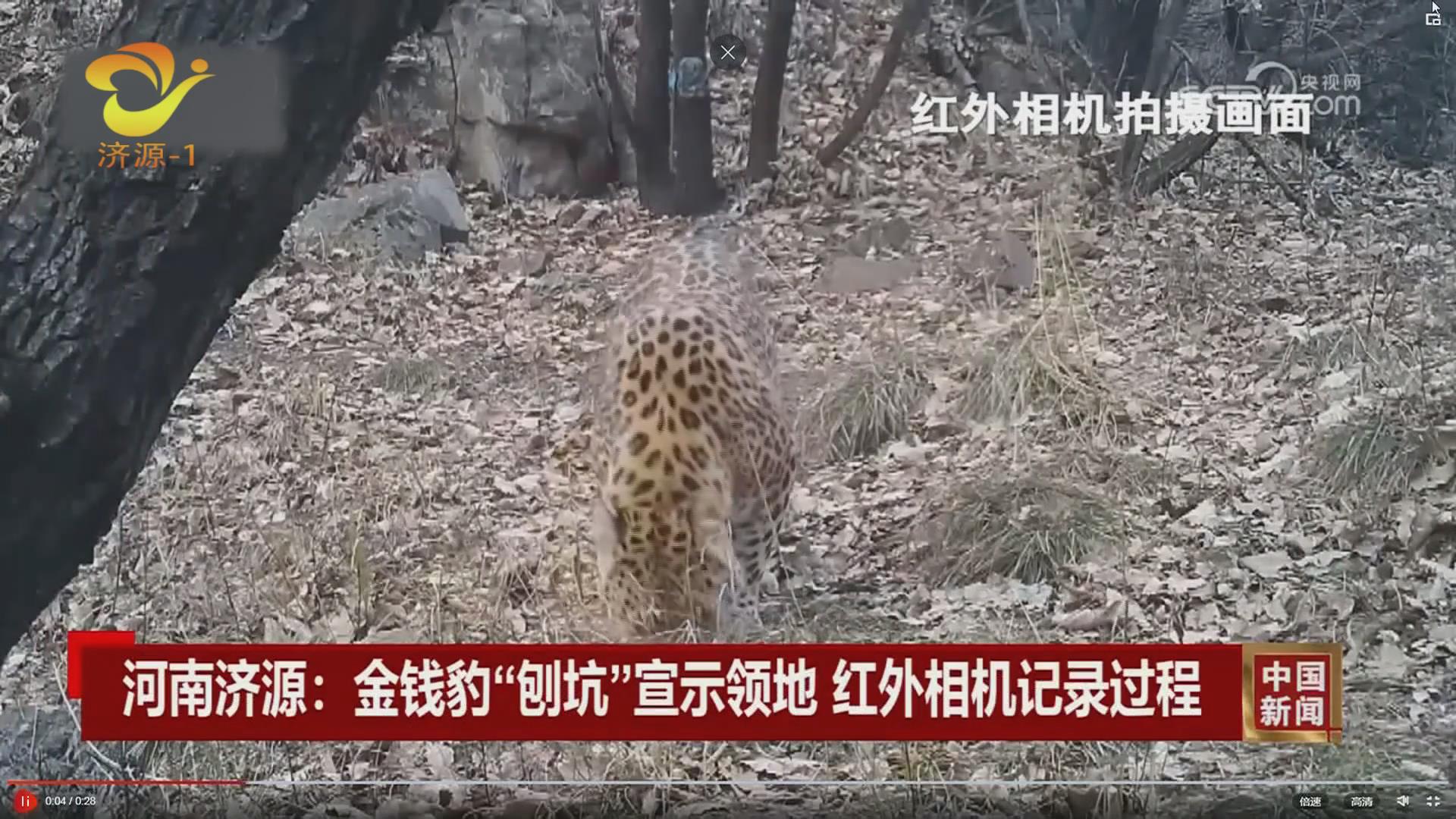 濟源網(wǎng)