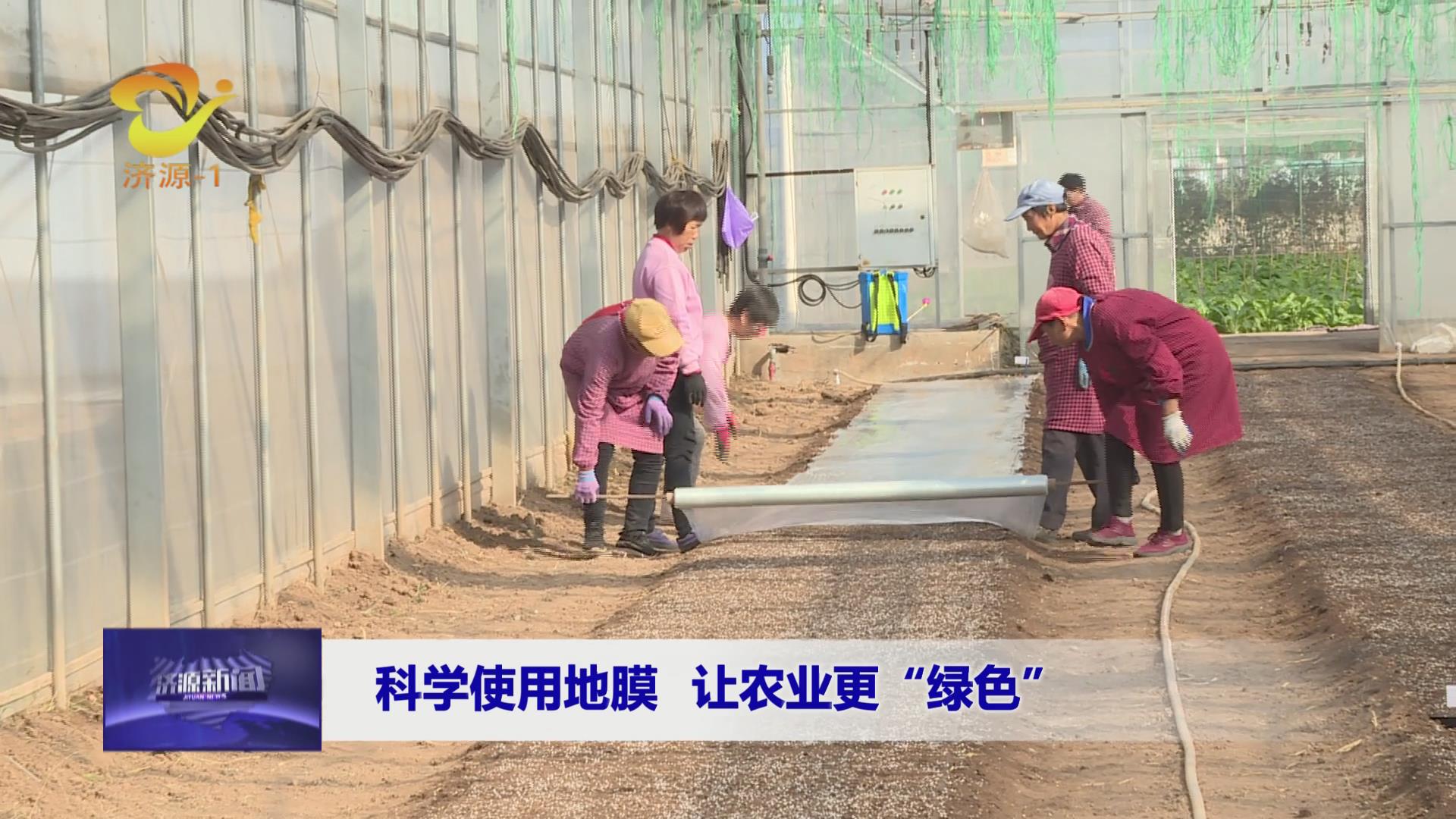 濟源網