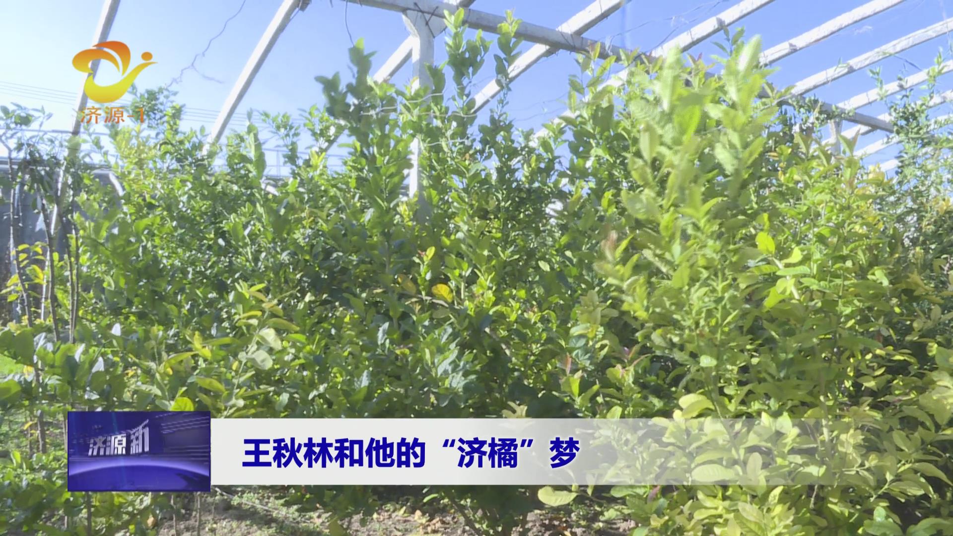 濟源網(wǎng)