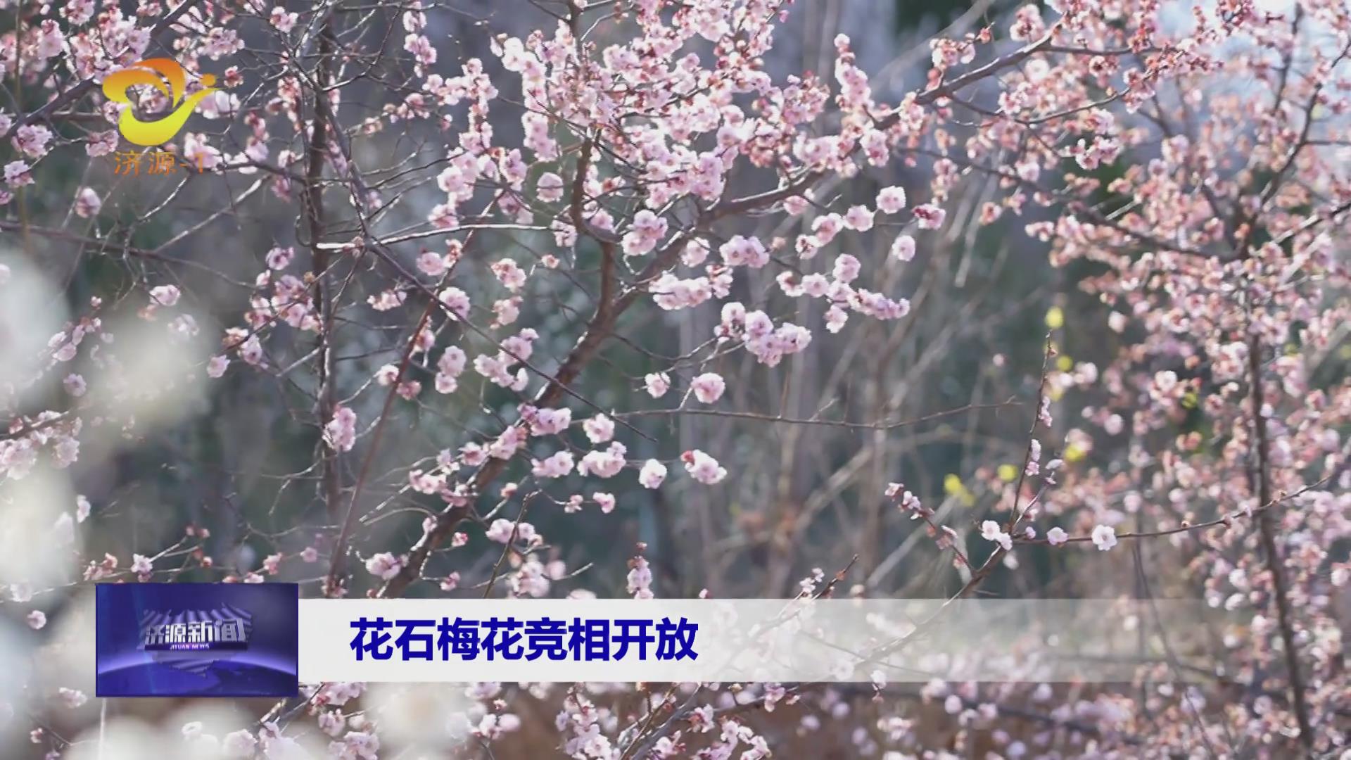濟源網(wǎng)