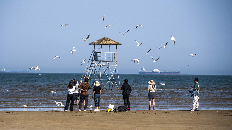 2024年5月12日，河北秦皇島，北戴河鴿子窩公園成群海鷗在天空中自由翱翔，與大海、藍(lán)天構(gòu)成了一幅美麗的畫(huà)卷。