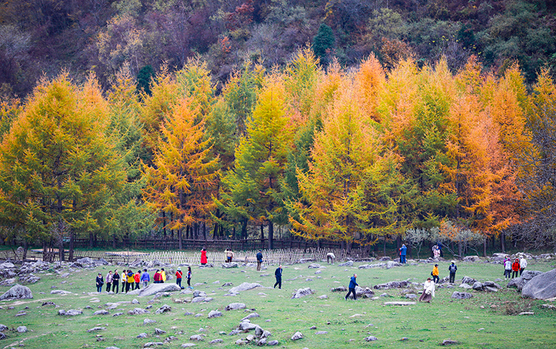 2023年10月27日，深秋時(shí)節(jié)的陜西秦嶺太子嶺漫山紅黃、色彩交織，進(jìn)入最佳觀賞期。
