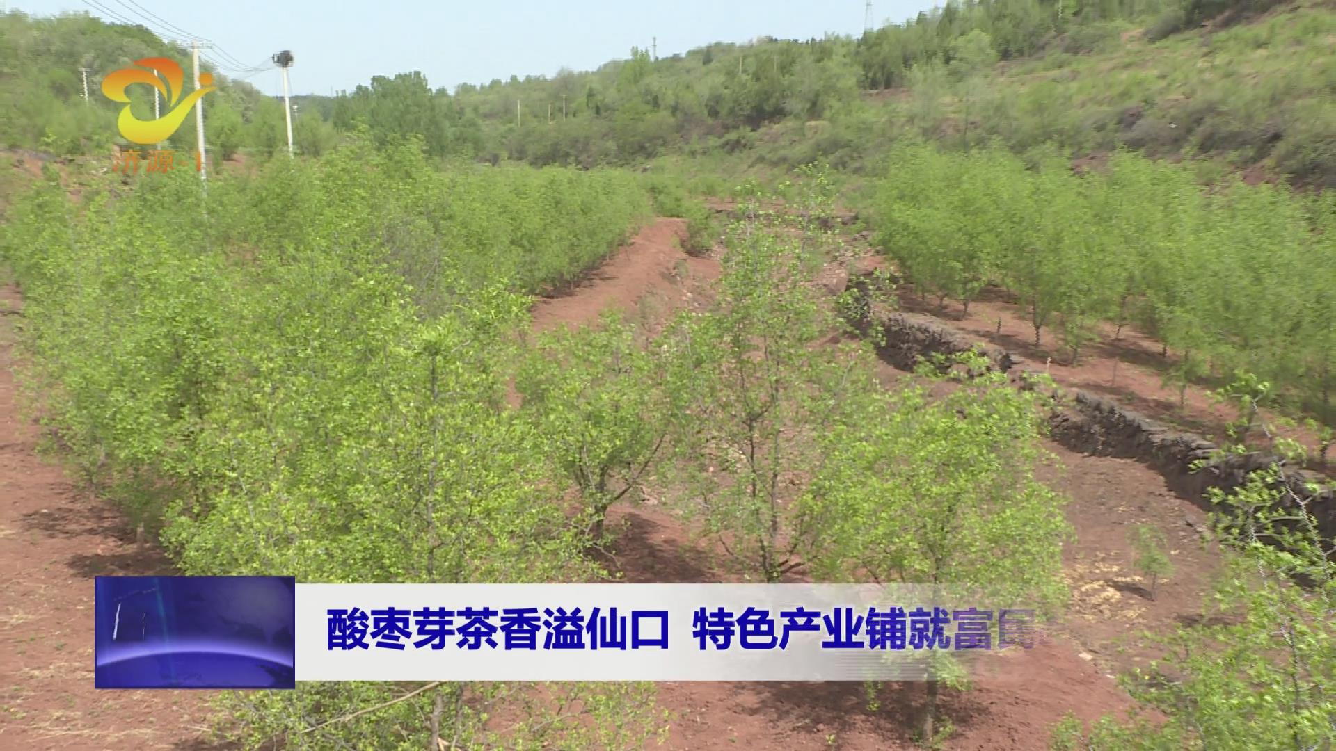 濟源網(wǎng)