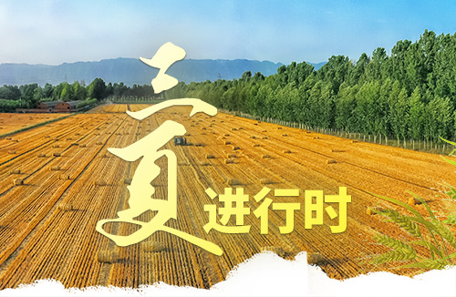 濟源網