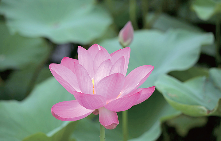 濟源網(wǎng)