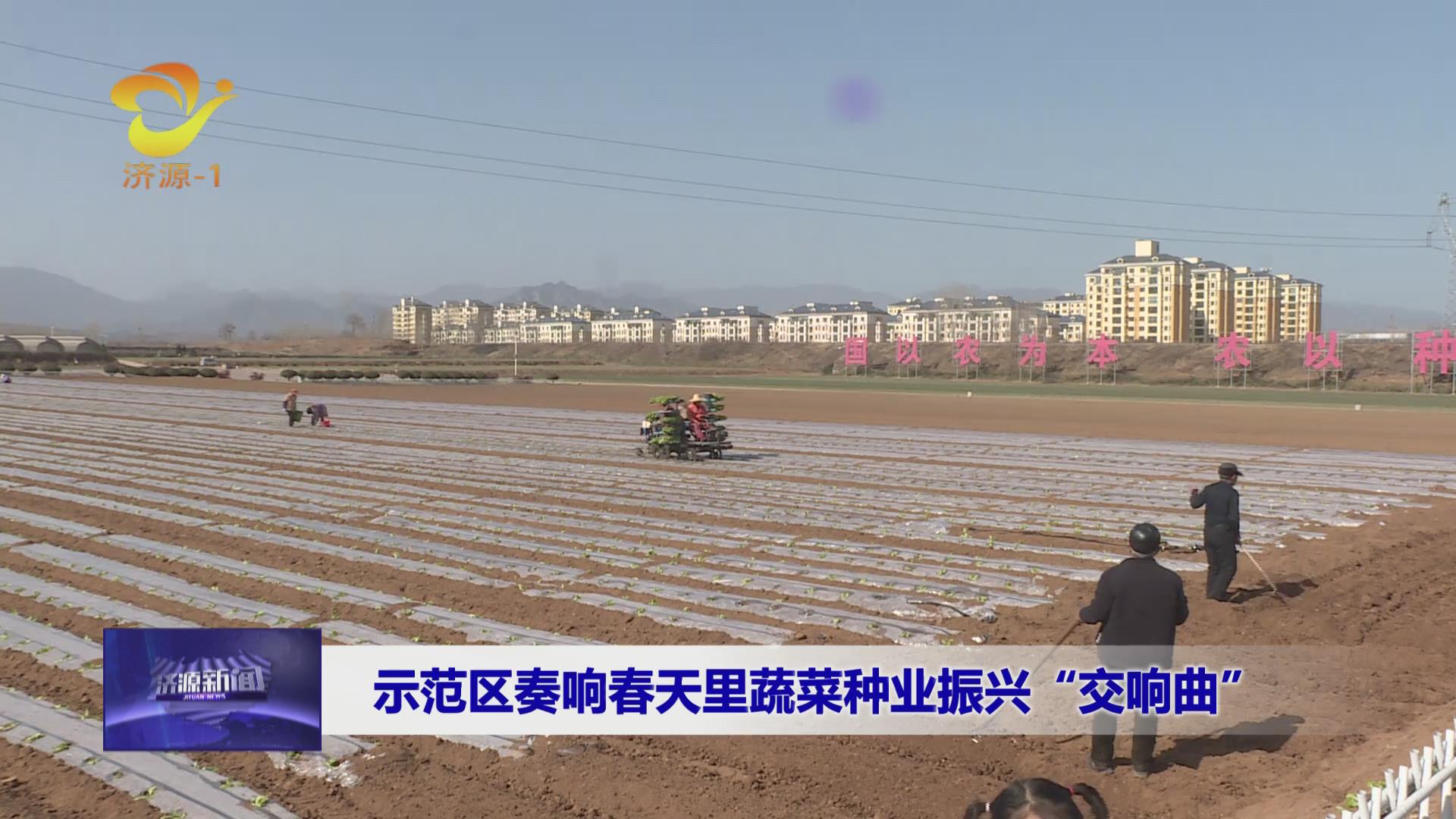 濟源網